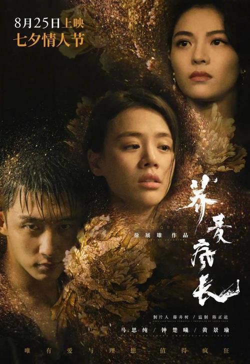 汉堡大学商科文凭证书